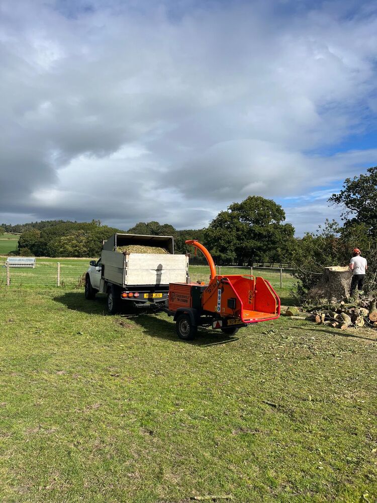 The same field after the ash was felled and cleared, showing the low stump, the chipper loaded with chip and the timber stacked ready to load