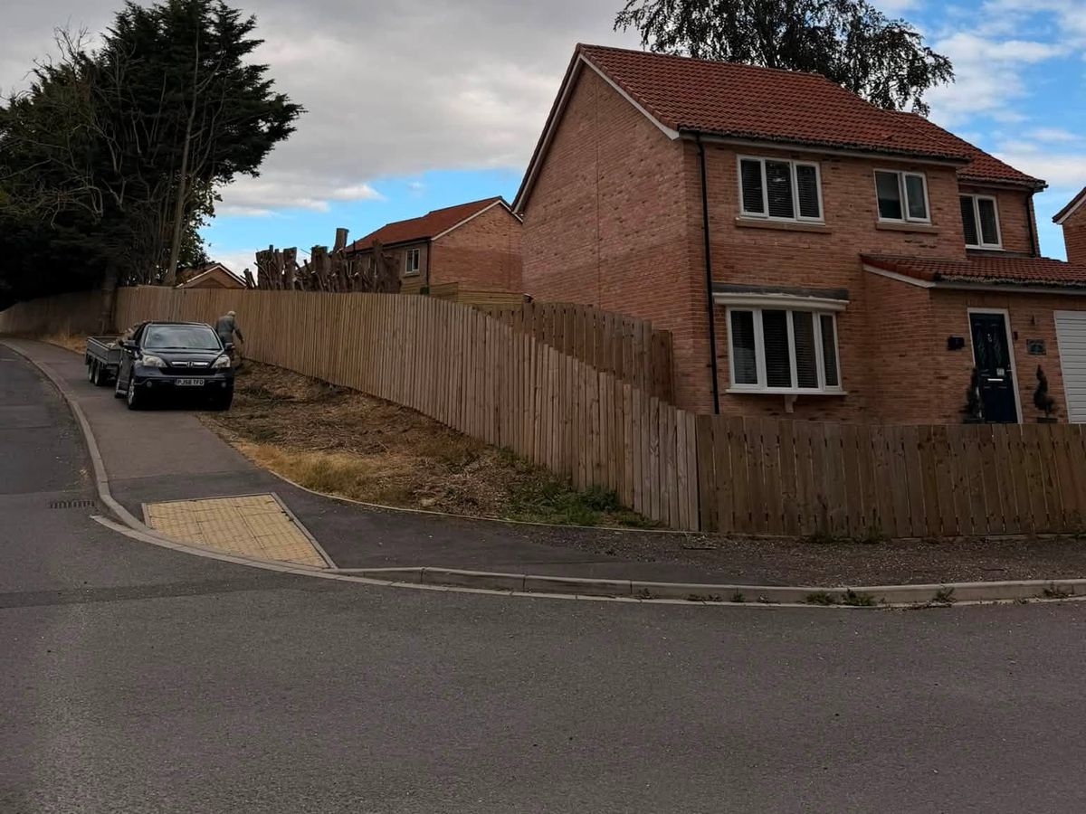 The property after staged conifer removal, with the remaining stems left at 6-8ft