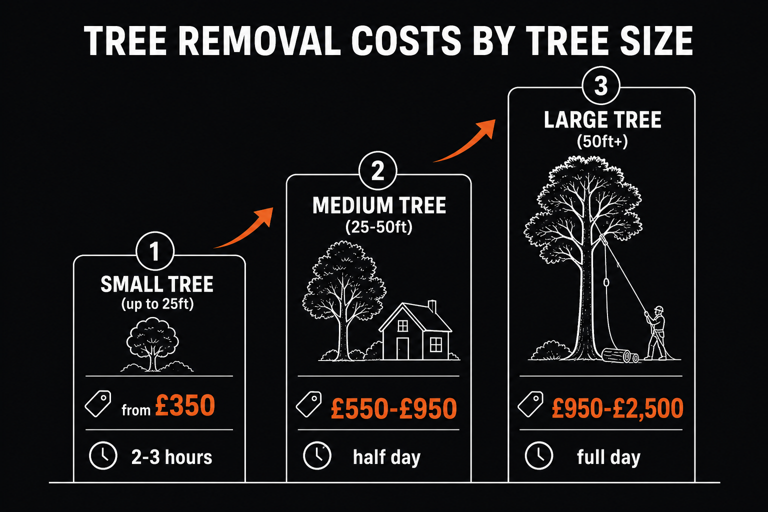 Tree removal price tiers: small tree from £350, medium tree £550-£950, large tree £950-£2,500