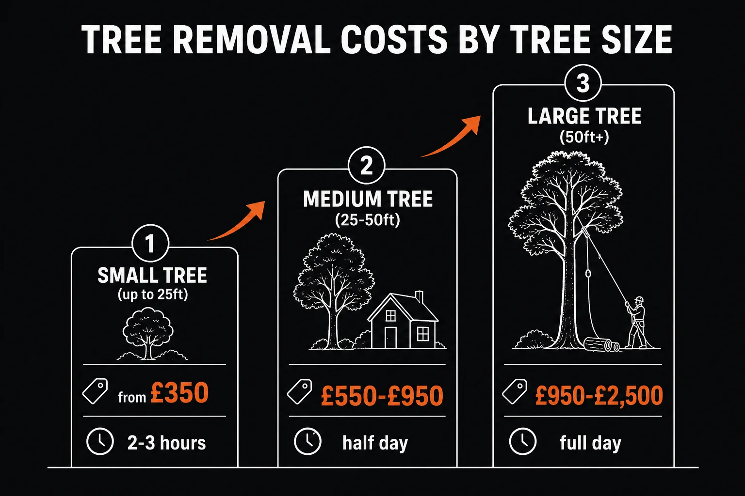 Tree removal price tiers: small tree from £350, medium £550 to £950, large £950 to £2,500