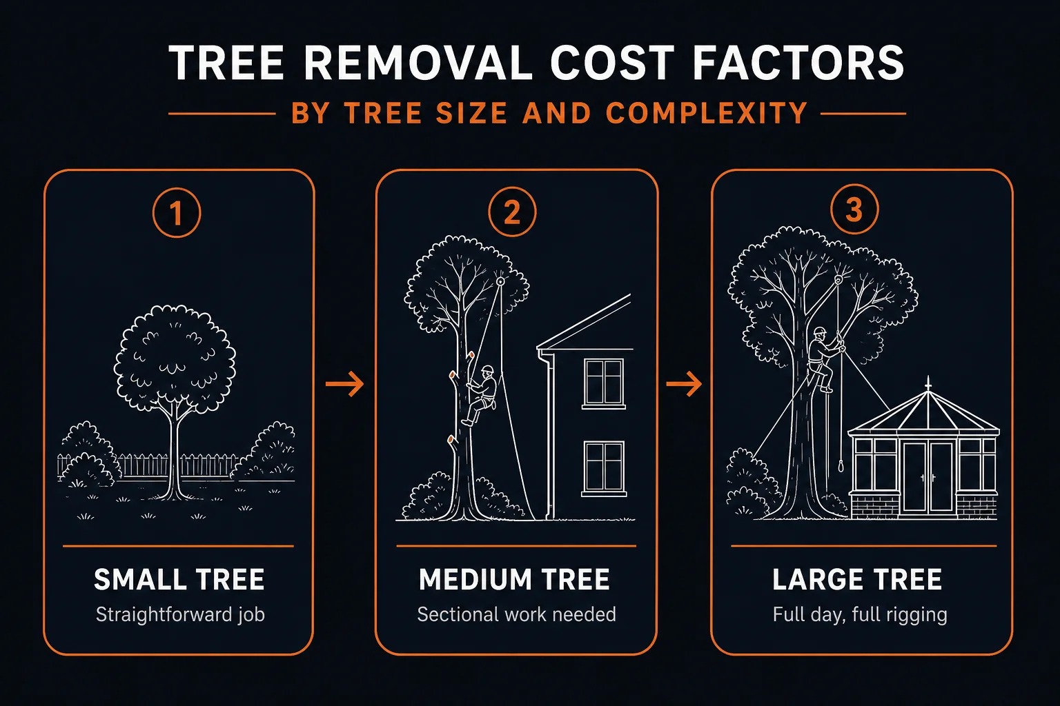 Three tree removal jobs by size and complexity: a small tree in an open garden, a medium tree needing sectional work beside a house, a large tree rigged over a conservatory