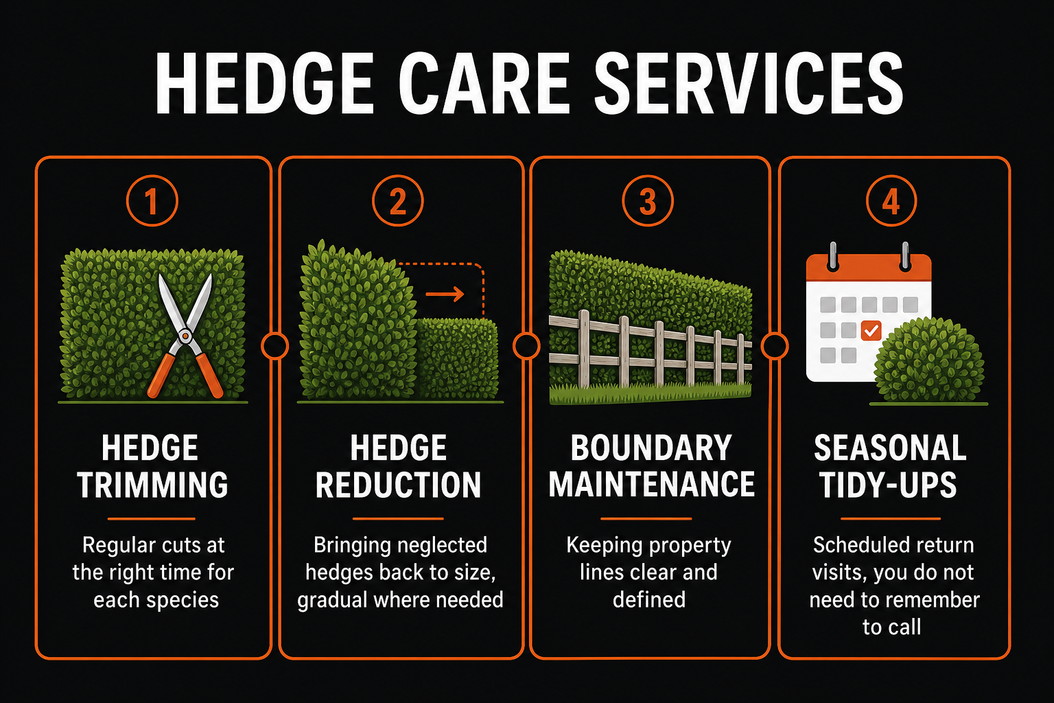 Hedge care services: trimming at right time per species, reduction for neglected hedges, boundary maintenance, seasonal tidy-ups