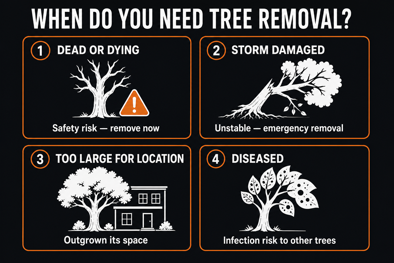 When to remove a tree: dead or dying safety risk, storm damaged unstable, too large for location, diseased infection risk