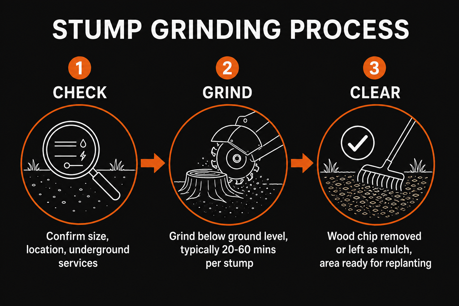 Stump grinding process: check location and services, grind below ground level 20-60 mins, clear and area ready for replanting