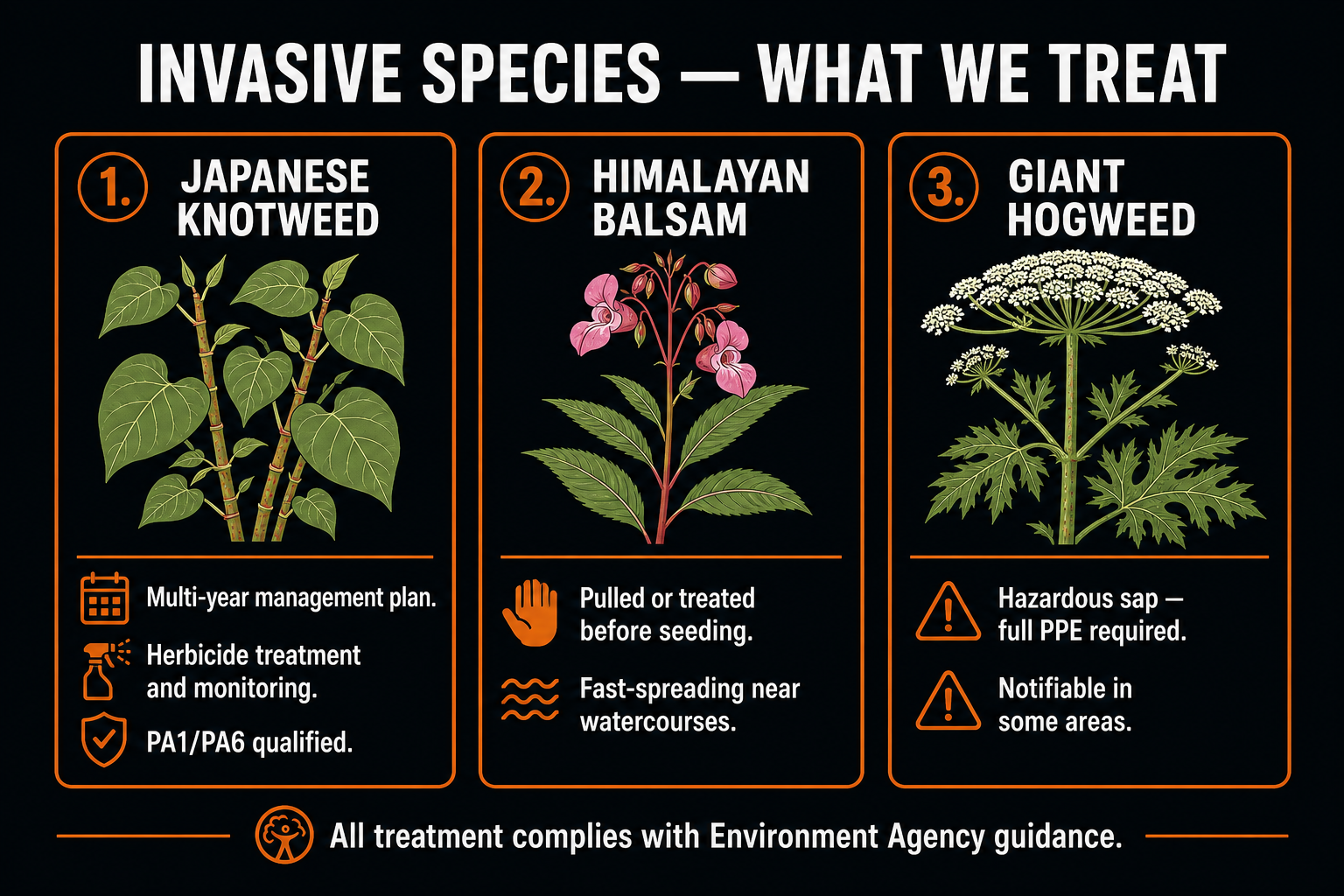 Invasive species treatment: Japanese knotweed multi-year plan, Himalayan balsam pulled before seeding, giant hogweed full PPE required