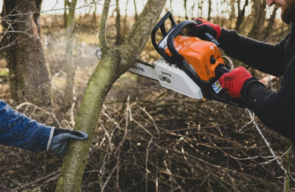 Tree workers cutting a trunk with a chainsaw during vegetation clearance