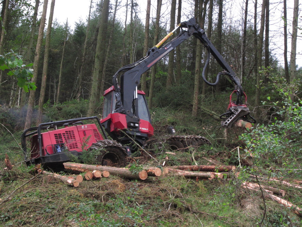 Forestry machinery working among felled timber in a woodland worksite